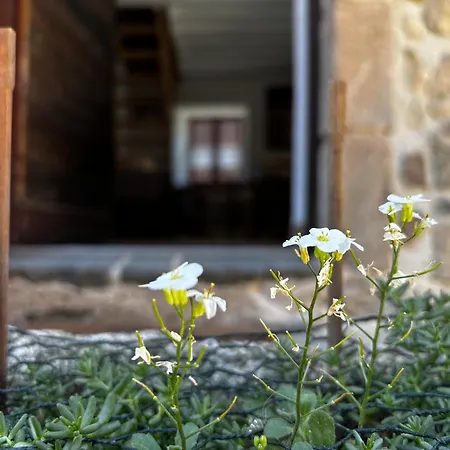Le Moulin De Lagat - Nature Et Calme Holiday home *